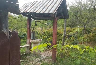Casă cu 5 camere cu Teren 3200 Mp în Stângăceaua - 3