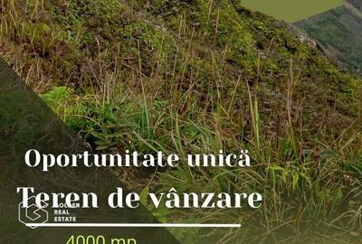 Oportunitate deosebita! Teren 4000 mp, intravilan, Sanpaul - 1