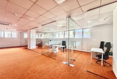 Birou, de 309 mp, în P-ța Romană - 10