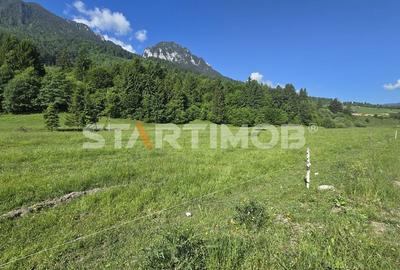 Teren intravilan Zarnesti Plaiul Foii - 3