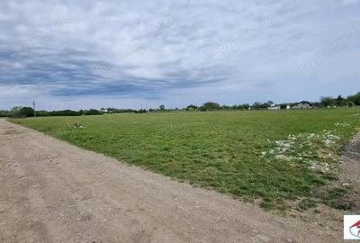 Teren de 5000 mp, în Careiului - 1