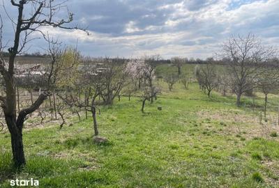 Casă cu 2 camere cu Teren 2052 Mp în Paleu - 4