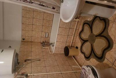 Apartament cu 2 camere decomandat în Pucioasa - 6