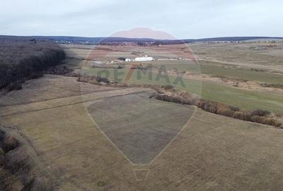 Teren 2925 mp comuna Mitocu Dragomirnei - 6