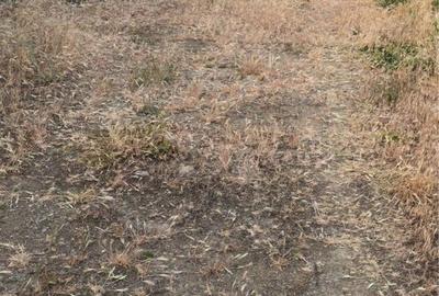 Spațiu comercial, în Pisc - 4