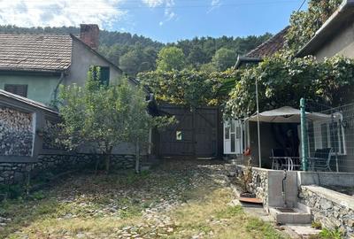 Casa in Marginimea Sibiului - Rasinari, jud. Sibiu Casa in Marginimea Sibiului - Rasinari, jud. Sibiu - 19