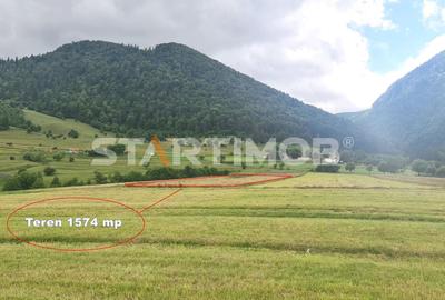 Teren Construcții intravilan de 1574 mp, în Sud-Est - 7