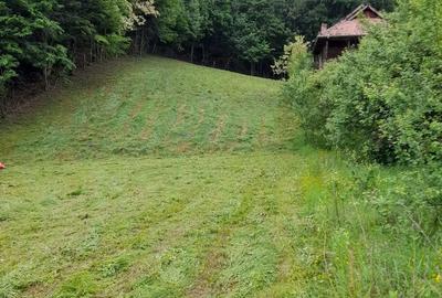 Teren de 2584 mp, în Fedeleșoiu - 3