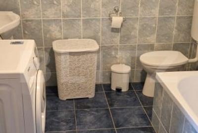 Locuința individuala cu curte generoasa- In Chitila - 14