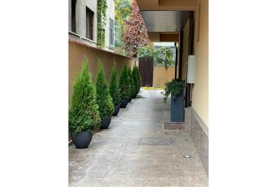 REA1023670 Apartament I Spatiu Comercial de vanzare I Arcul de Triumf - 26