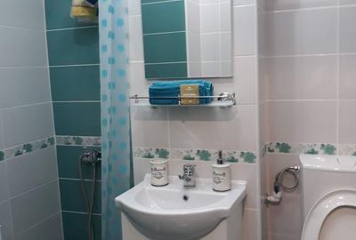 Garsonieră decomandată în Exterior Vest - 2