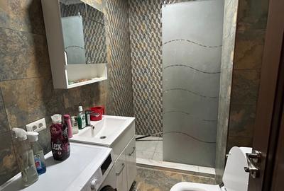 Apartament cu 2 camere decomandat, mobilat în Colentina - 18