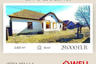 Casă cu 3 camere cu Teren 2407 Mp în Peteni - 13