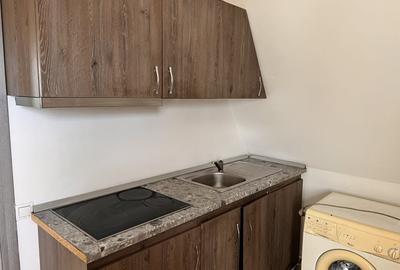 Garsoniera studio terezian drumul ocnei - 3