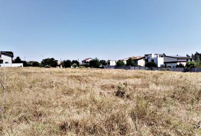 Ovidiu - teren intravilan, str. Liliacului - 3