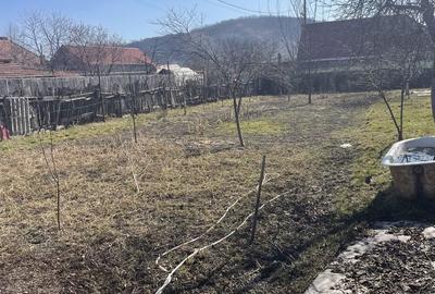 Casă cu 4 camere în Exterior Vest - 2