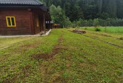 Casă cu 5 camere cu Teren 1250 Mp în Marginea - 11