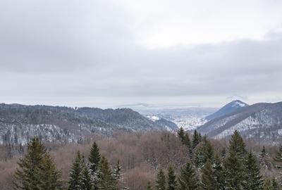 Teren Construcții intravilan de 10440 mp, în Poiana Brașov - 2