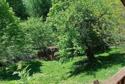 Casă cu 2 camere cu Teren 3400 Mp în Ghelari - 9