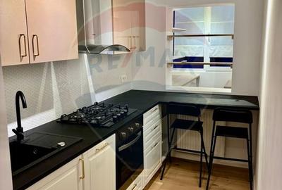 Apartament cu 1 camere decomandat, mobilat în Banu Manta - 4