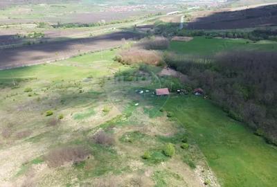 Teren de 659000 mp, în Copșa Mică - 2