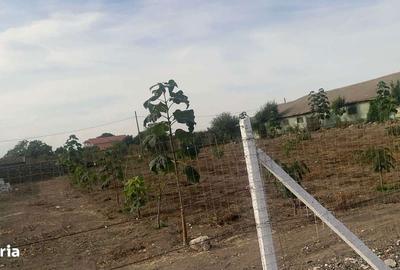 Teren de 7000 mp, în Exterior Vest - 5