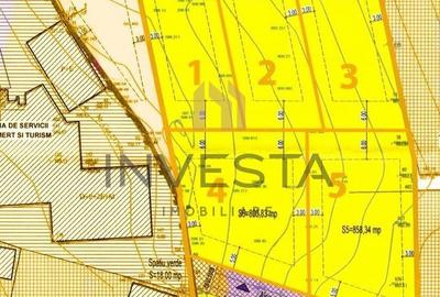 Teren de 5061 mp, în Făget - 3