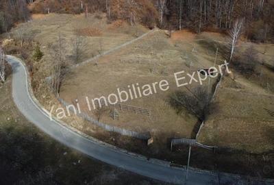 Teren de 4681 mp, în Bărăști - 20