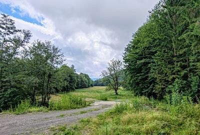2,64 Ha TEREN SUPERB pe malul raului Crisul Repede padure parau NEGRENI - CLUJ - 20