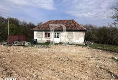 Casă cu 3 camere cu Teren 2800 Mp în Drăgești - 2
