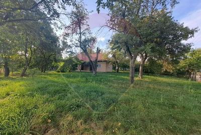 Casă individuală cu 3 camere cu Teren 2000 Mp în Runcu