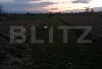 Teren de 2900 mp, în Vințu de Jos