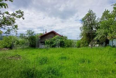 Casa 3 camere si teren 4873 mp  in Pietroasa, Moldovenești - 12