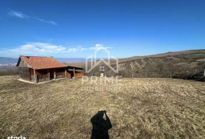 Spațiu comercial, în Șeușa - 1