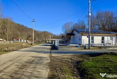 Teren de 4549 mp, în Gura Vitioarei - 8
