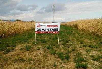 Teren Construcții intravilan de 6200 mp, în 9 Mai - 1