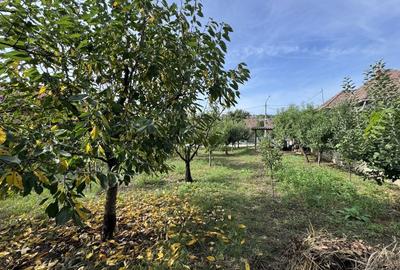 Casă cu 3 camere în Exterior Vest - 1