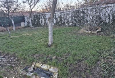 Casă cu 2 camere cu Teren 301 Mp în Pârneava - 14