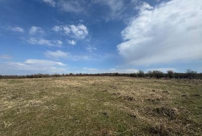 Teren agricol extravilan de 10233 mp, în Exterior Nord - 1