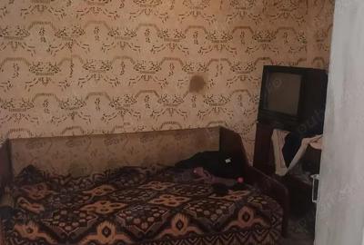 Casa batraneasca Bradeanu - 5