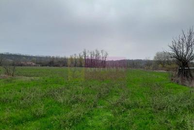 BARCANESTI - casa +curte+teren 16k mp - 6