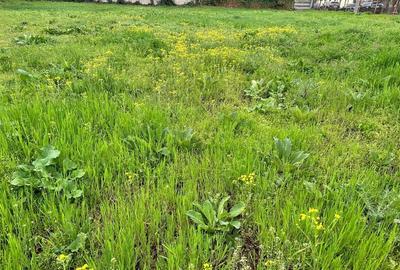 TEREN ZONA CENTRALA PLOIESTI - 4