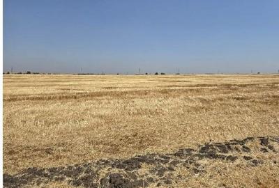 Teren de 16700 mp, în Periferie - 13