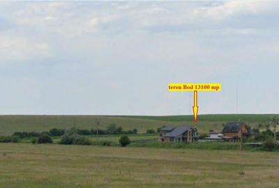 Teren agricol extravilan de 13100 mp, în Bod - 7