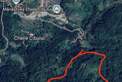 Teren de 63000 mp, în Cheile Cibului - 2