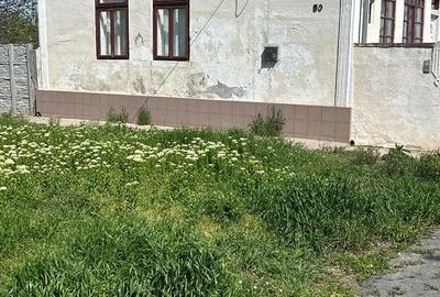 Casă cu Teren 6000 Mp în Șandra - 2