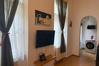 Apartament deosebit in palat istoric - 4