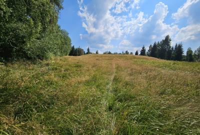 Teren de 9466 mp, în Dealu Negru - 5