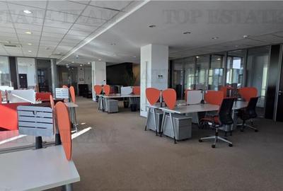 Spațiu comercial, de 367 mp, în Timpuri Noi - 9