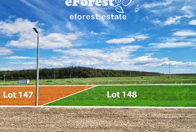 Loturi de vanzare, ce mai mic pret din zona! - 5